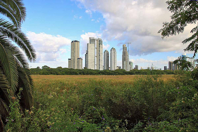 View of Buenos Aires from the beautiful Costanera Sur Valentines Day in Buenos Aires